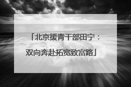 北京援青干部田宁：双向奔赴拓宽致富路