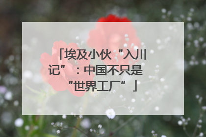 埃及小伙“入川记”：中国不只是“世界工厂”