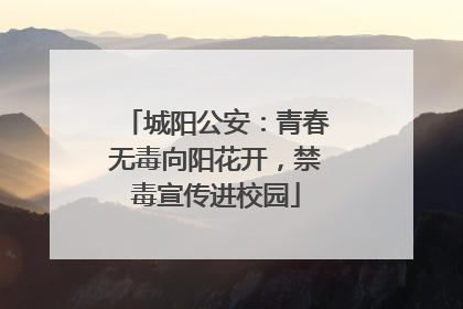 城阳公安：青春无毒向阳花开，禁毒宣传进校园