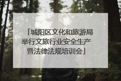 城阳区文化和旅游局举行文旅行业安全生产暨法律法规培训会