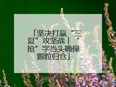坚决打赢“三夏”攻坚战丨“抢”字当头确保颗粒归仓
