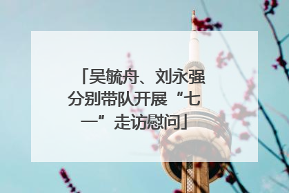 吴毓舟、刘永强分别带队开展“七一”走访慰问