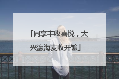 同享丰收喜悦，大兴瀛海麦收开镰
