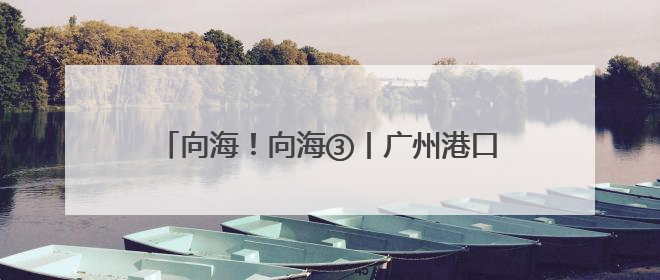 向海！向海③丨广州港口经济释放“乘数效应”