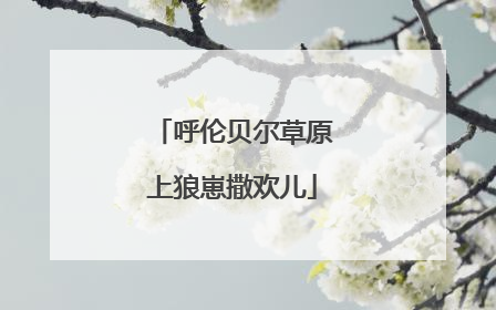 呼伦贝尔草原上狼崽撒欢儿
