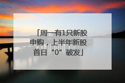 周一有1只新股申购，上半年新股首日“0”破发