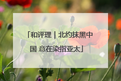和评理｜北约抹黑中国 意在染指亚太
