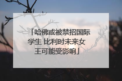 哈佛或被禁招国际学生 比利时未来女王可能受影响