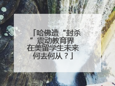 哈佛遭“封杀”震动教育界 在美留学生未来何去何从？