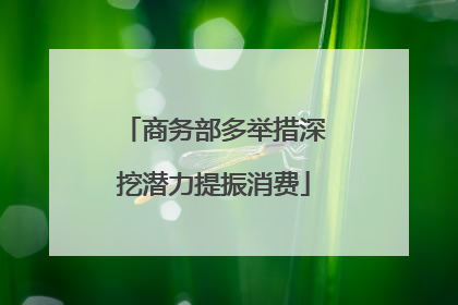 商务部多举措深挖潜力提振消费
