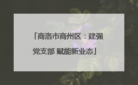 商洛市商州区：建强党支部 赋能新业态