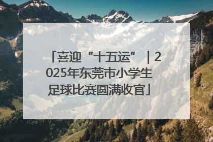 喜迎“十五运”｜2025年东莞市小学生足球比赛圆满收官
