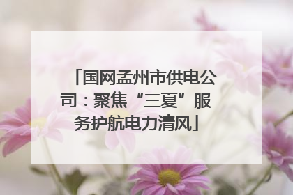 国网孟州市供电公司：聚焦“三夏”服务护航电力清风
