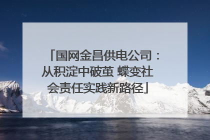 国网金昌供电公司：从积淀中破茧 蝶变社会责任实践新路径