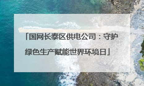 国网长泰区供电公司：守护绿色生产赋能世界环境日