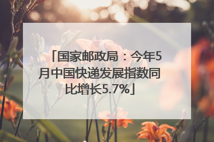 国家邮政局：今年5月中国快递发展指数同比增长5.7%