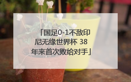 国足0-1不敌印尼无缘世界杯 38年来首次败给对手