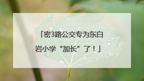 密3路公交专为东白岩小学“加长”了！