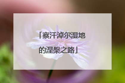 察汗淖尔湿地的涅槃之路