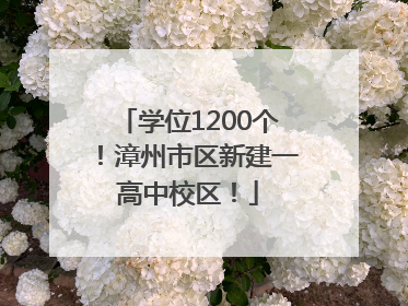学位1200个！漳州市区新建一高中校区！