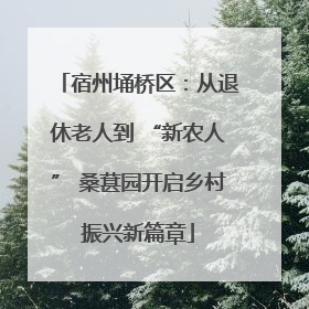 宿州埇桥区：从退休老人到 “新农人” 桑葚园开启乡村振兴新篇章