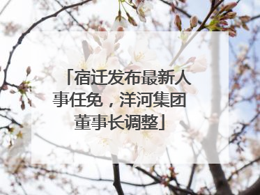 宿迁发布最新人事任免，洋河集团董事长调整