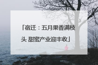 宿迁：五月果香满枝头 甜蜜产业迎丰收