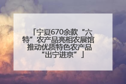 宁夏670余款“六特”农产品亮相农展馆 推动优质特色农产品“出宁进京”