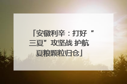 安徽利辛：打好“三夏”攻坚战 护航夏粮颗粒归仓