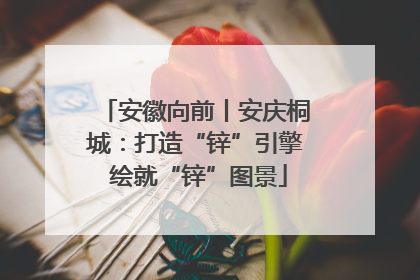 安徽向前丨安庆桐城：打造“锌”引擎 绘就“锌”图景