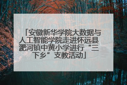 安徽新华学院大数据与人工智能学院走进怀远县淝河镇中黄小学进行“三下乡”支教活动