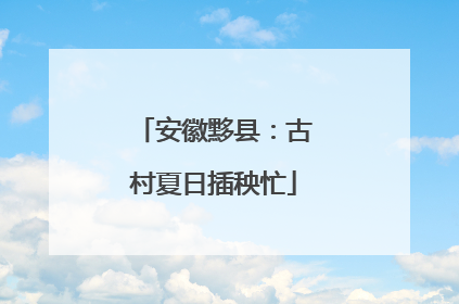 安徽黟县：古村夏日插秧忙