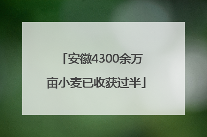 安徽4300余万亩小麦已收获过半