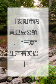 安阳市内黄县豆公镇：“三夏”生产有实招