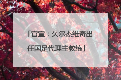 官宣：久尔杰维奇出任国足代理主教练