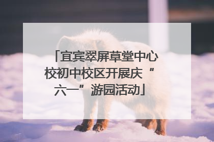 宜宾翠屏草堂中心校初中校区开展庆“六一”游园活动