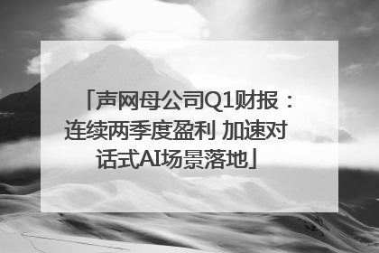 声网母公司Q1财报：连续两季度盈利 加速对话式AI场景落地