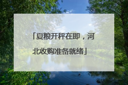夏粮开秤在即，河北收购准备就绪