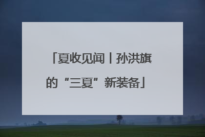 夏收见闻丨孙洪旗的“三夏”新装备