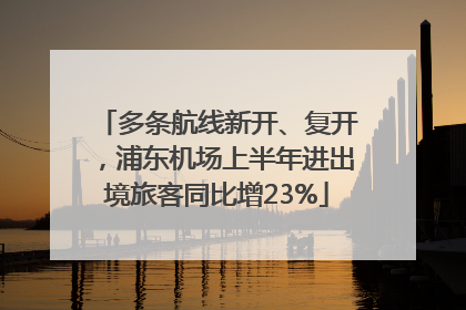 多条航线新开、复开，浦东机场上半年进出境旅客同比增23%
