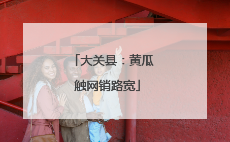 大关县：黄瓜触网销路宽
