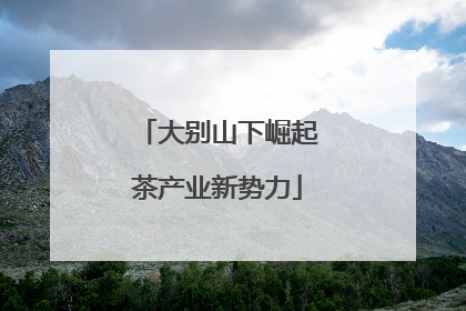 大别山下崛起茶产业新势力