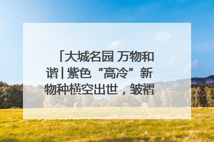 大城名园 万物和谐│紫色“高冷”新物种横空出世，皱褶叶片暗藏进化密码