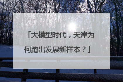 大模型时代，天津为何跑出发展新样本？