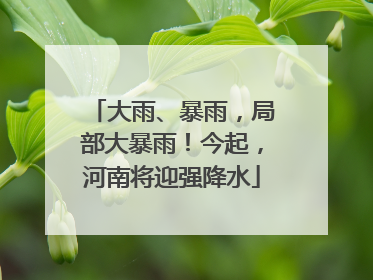 大雨、暴雨，局部大暴雨！今起，河南将迎强降水