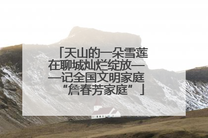 天山的一朵雪莲在聊城灿烂绽放——记全国文明家庭“詹春芳家庭”