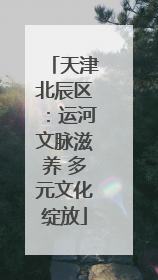天津北辰区：运河文脉滋养 多元文化绽放