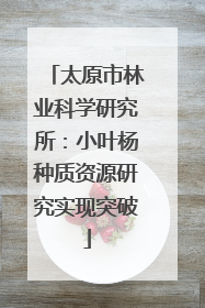 太原市林业科学研究所：小叶杨种质资源研究实现突破
