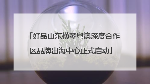 好品山东横琴粤澳深度合作区品牌出海中心正式启动