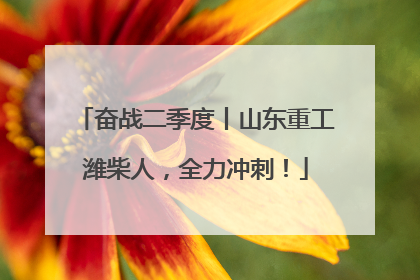 奋战二季度丨山东重工潍柴人，全力冲刺！